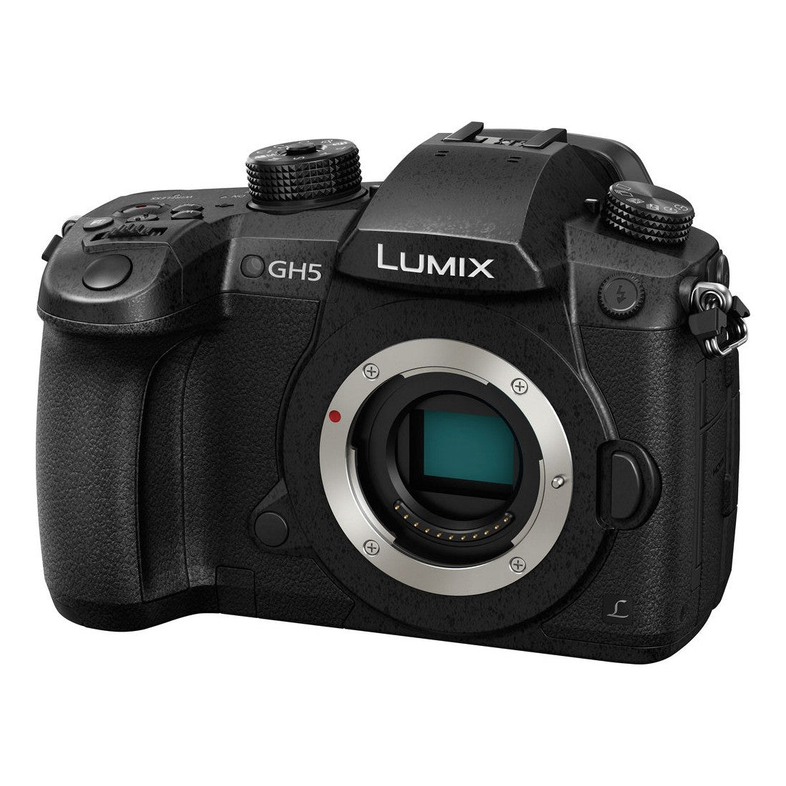 Panasonic Lumix DC-GH5 Mirrorless Camera