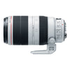 Canon EF 100-400mm f/4.5-5.6L IS II USM Lens